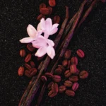 YVES SAINT LAURENT — Black Opium – Image 3