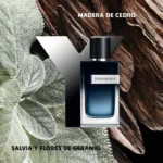 YVES SAINT LAURENT — Y – Image 4